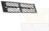 VAN WEZEL 0617592 Ventilation Grille, bumper